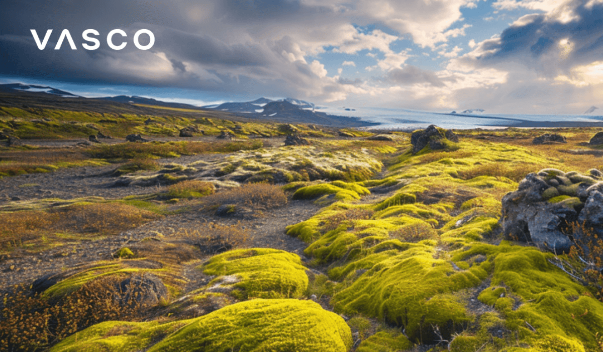 Un'immagine di un panorama islandese.