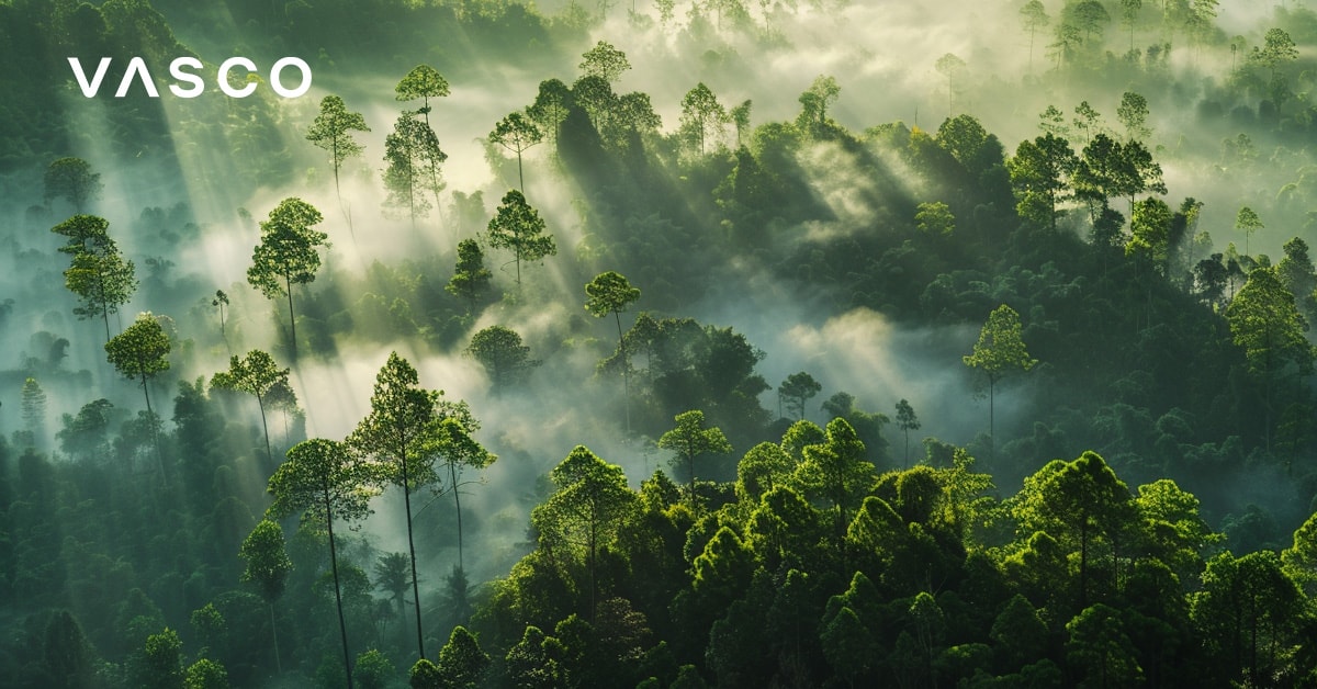 Una foresta verdeggiante con nebbia e luce solare.