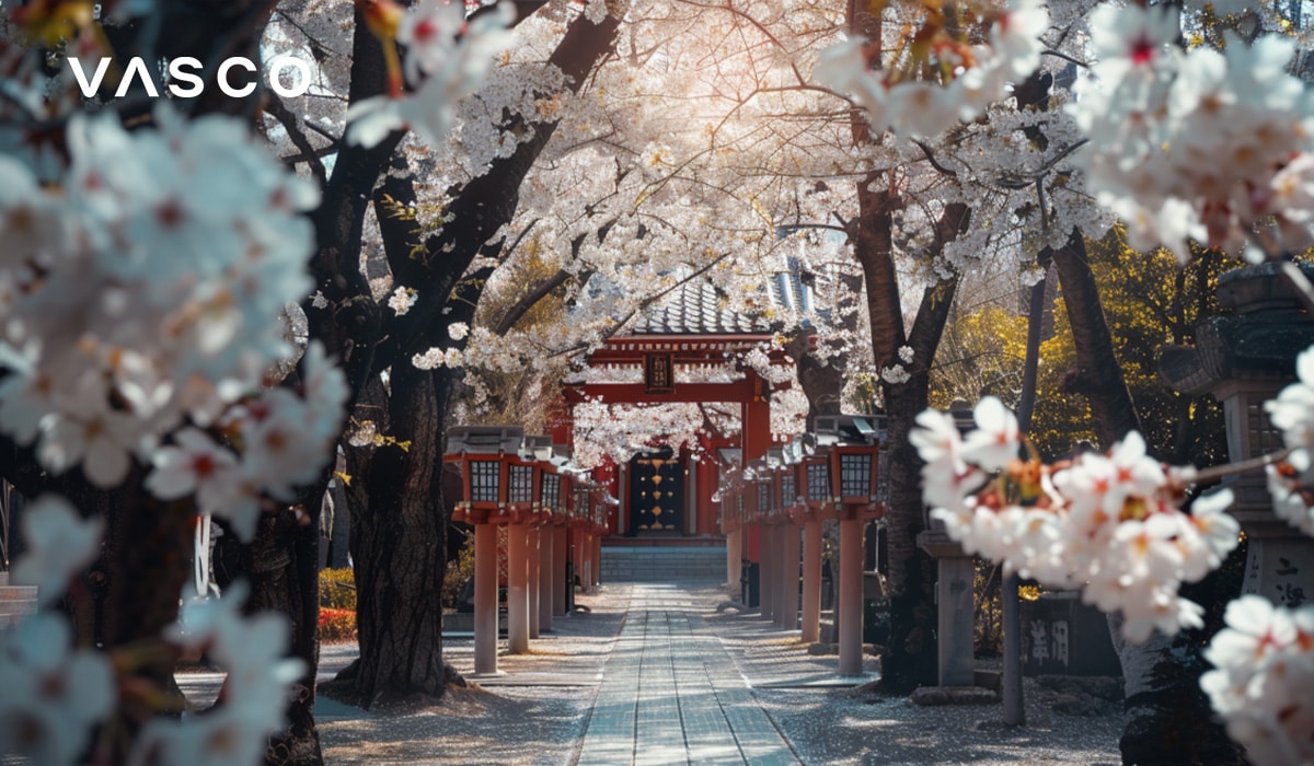 Un bellissimo viale di ciliegi in fiore che conduce a un tradizionale santuario giapponese, circondato da alberi di ciliegio in fiore.