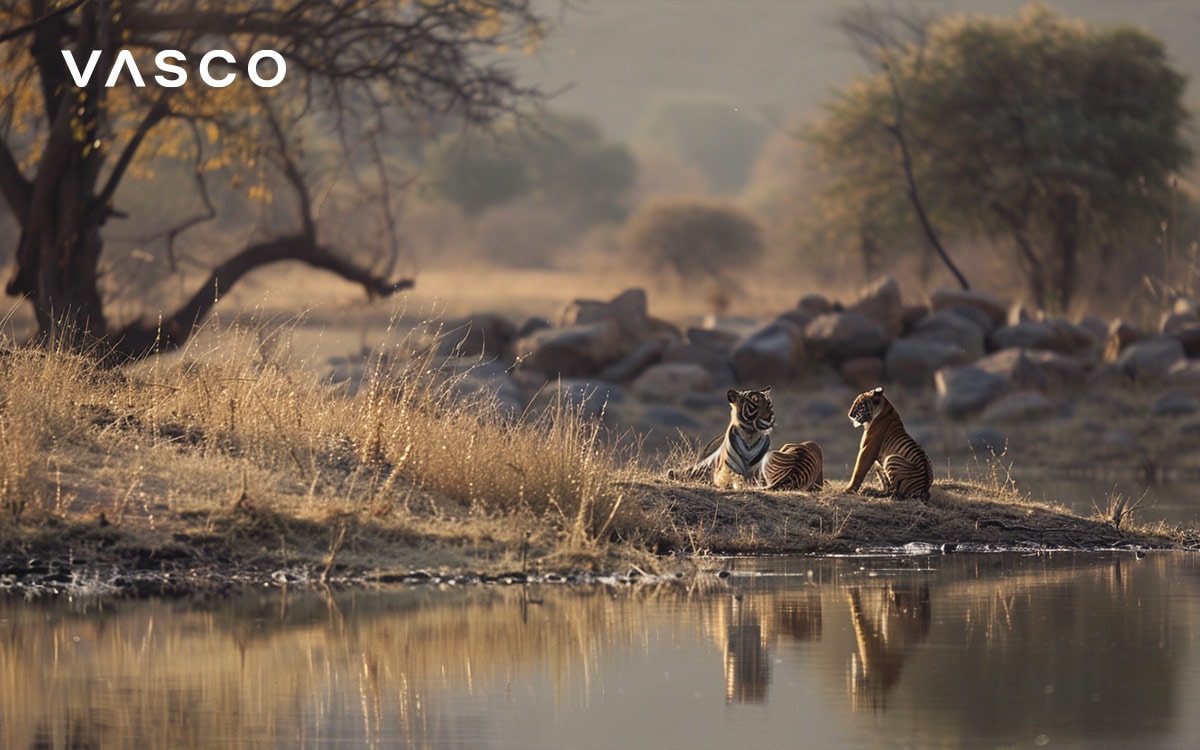 Due leopardi riposano vicino a un fiume in un paesaggio di savanna sereno e illuminato dal sole.