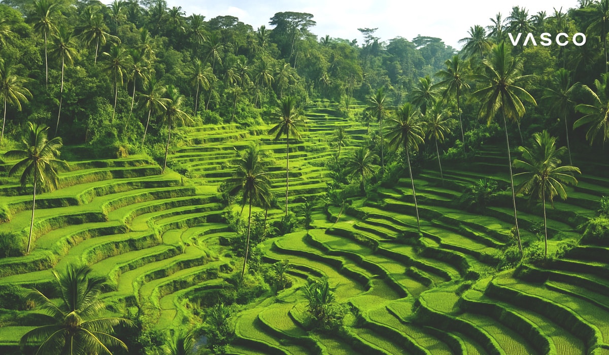 Vista mozzafiato delle vivaci risaie verdi di Tegallalang a Bali, circondate da palme.