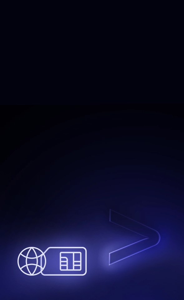 Icona che rappresenta la connessione Internet gratuita in tutto il mondo, una caratteristica dei dispositivi Vasco.